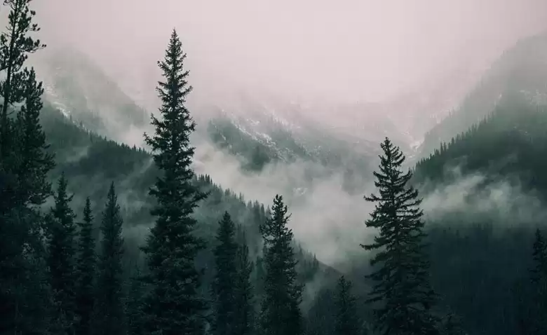 缩略图–Slide 3–青年旅游