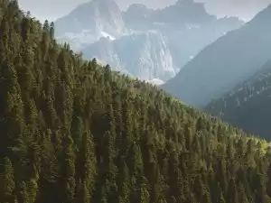 插图5–山区旅行–青年旅游