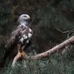 缩略图–山区旅行–青年旅游