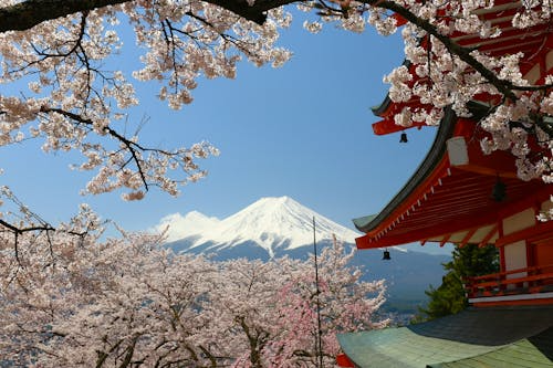 插图2–探秘京都——在千年古都的禅意与美学中行走–青年旅游