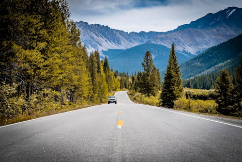 插图2–青年旅行社：以文化为桥，连接世界与心灵–青年旅游