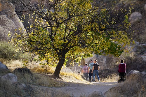 插图3–冒险与放松，打造平衡之旅–青年旅游