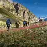 缩略图–徒步旅行完全指南:线路推荐、装备准备与健康益处–青年旅游