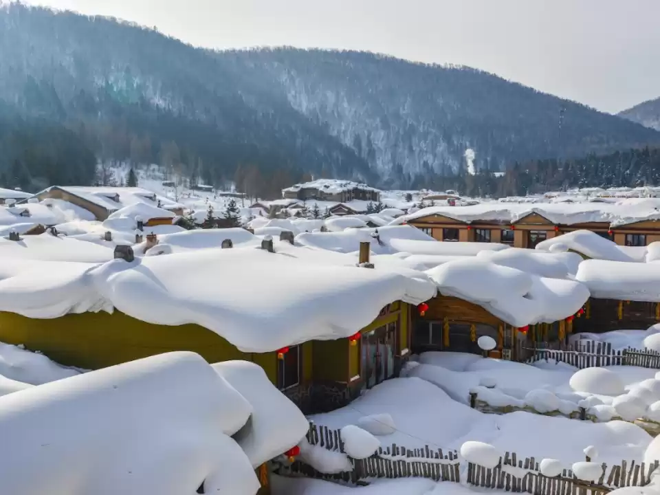 缩略图–2025 年哈尔滨旅游攻略：北国冰城的完美之旅–青年旅游