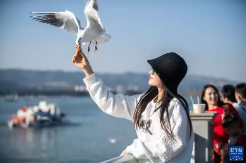 昆明旅游攻略完全指南