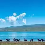 缩略图–青海湖旅游攻略路线:2025 年最全环湖旅游指南–青年旅游