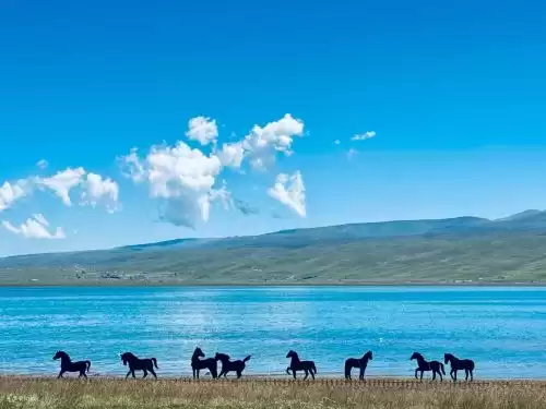 青海湖旅游攻略路线：2025 年最全环湖旅游指南