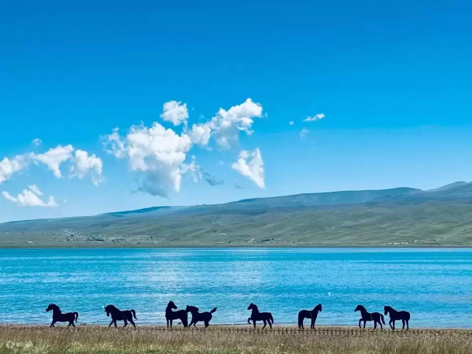 缩略图–青海湖旅游攻略路线:2025 年最全环湖旅游指南–青年旅游