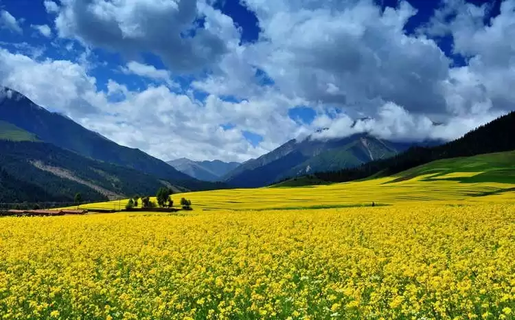 插图3–青海湖旅游攻略路线:2025 年最全环湖旅游指南–青年旅游