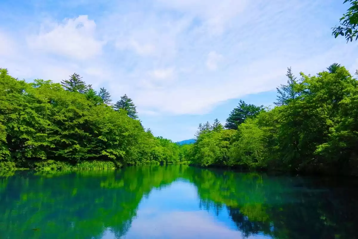 插图3–7-8 月份旅游最佳地方：2025 夏季避暑胜地全攻略–青年旅游