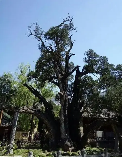 插图4–别只爬峻极峰！2025 嵩山攻略：1 天解锁瀑布日出+武僧训练，避坑指南+小众点位全公开–青年旅游