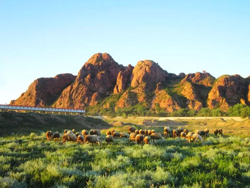 缩略图–这份旅游“攻略”值得收藏–青年旅游