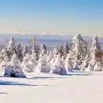 缩略图–主动出击打造冰雪旅游新玩法，吉林“玩”出一个个网红 IP–青年旅游